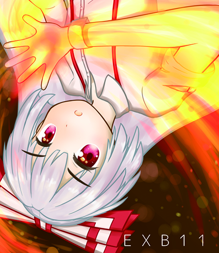 EXB11